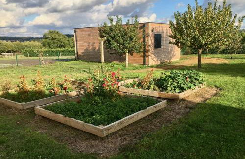 DOMAINE D'ELUSA - Photo 21