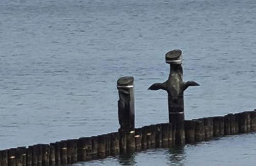 Ferienwohnung "Juliette" - Foto 33