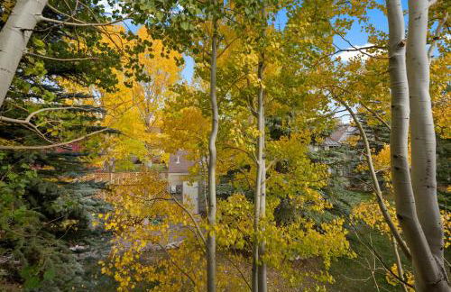 Prospect Point Townhomes 202C - Foto 3