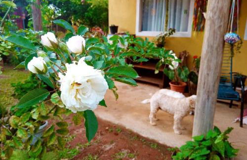 Villa Ágape - Chapada dos Veadeiros - Foto 14