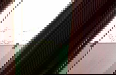 Flats Bela Vista Marista - Photo 6