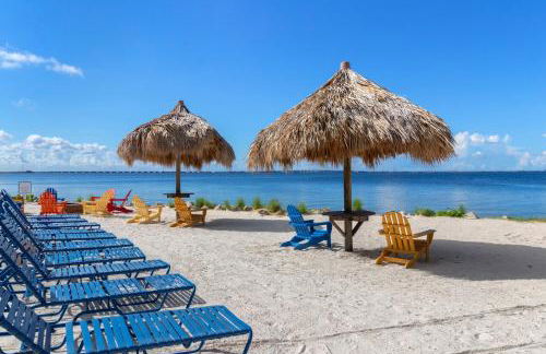 227-WIFI, New Paint, AMAZING Views, Close to BUCS stadium - Foto 41