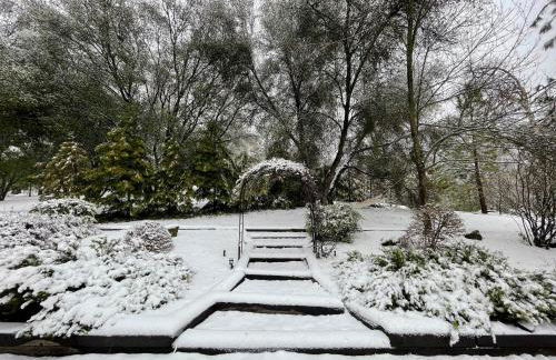 Log Cabin w/ pool, spa, game room, sleeps 20 - Foto 60