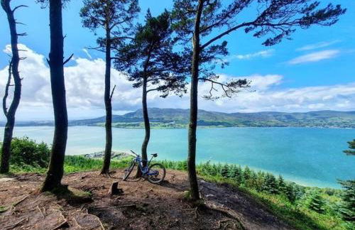 Tanglewood Stays - Foto 61