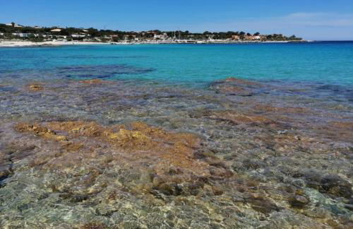 Studio bord de mer équipé air conditionné 1min de la plage - Foto 32