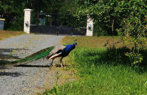 Tipi Dakota des monteaux - Photo 24