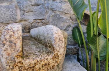 Casa da Leira - Foto 56