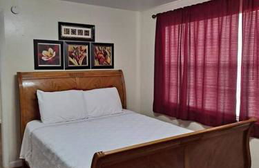 Green house - Foto 15