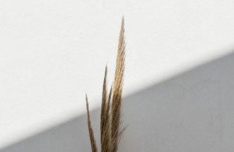 Poema Antiparos - Foto 78