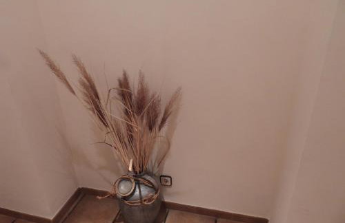 Agroturismo Casa Garcibáñez - Foto 16