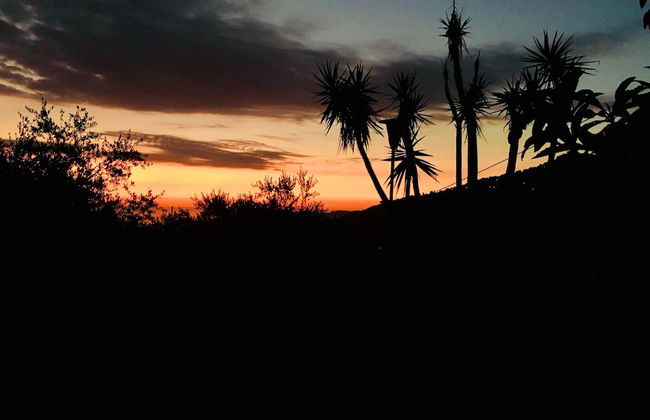 Agriturismo Don Cesarino - Photo 70