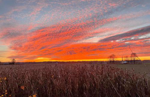 Siedlisko pod Kasztanem - Foto 50