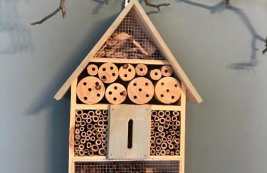 Agriturismo La Biandrina - Foto 11