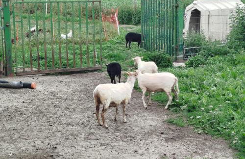 Bed and Bike Rheine - Foto 37