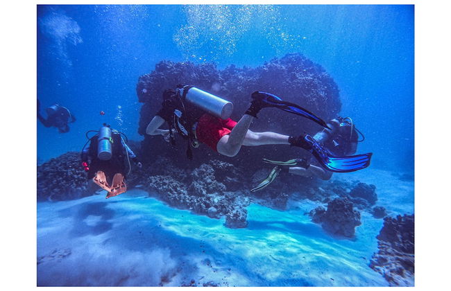 Milos AquaBliss Beachfront Villa - Foto 22