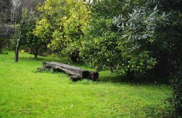 Finca Artienza - Foto 60