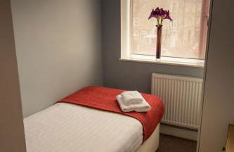 The Allendale Wolf - Foto 40