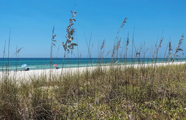 Vintage Waves - Foto 34