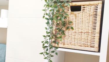 Almar Carril - Foto 5