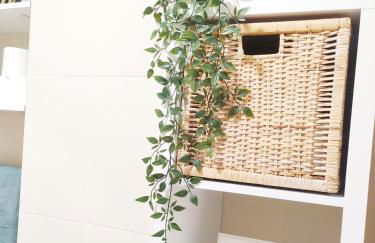 Almar Carril - Foto 5