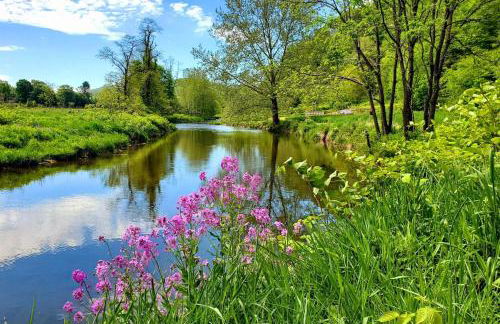 Big Timber Creek Cabin - Foto 23