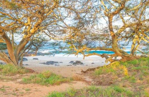 Oceanview Moloka'i Studio - Foto 20