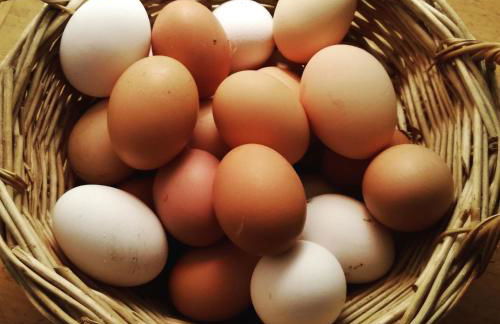 Agriturismo Campolungo - Foto 52