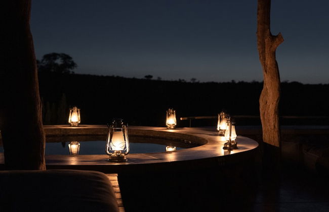 Euphorbia Mashatu - Foto 18