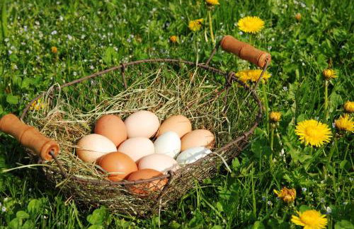 Haus Mitterstang - Foto 39