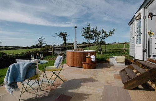 Shepherds Hut at Chenhall Farm - Photo 35