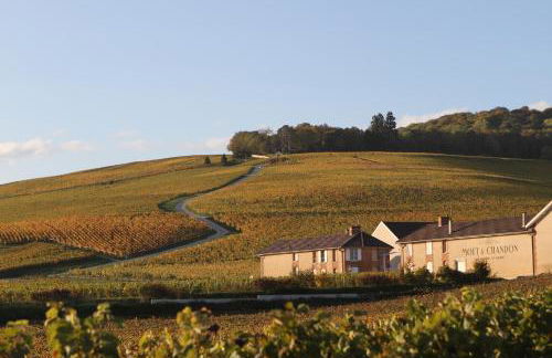 46 Paul Chandon Epernay - Foto 7