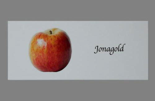 Stoanpeppelehof - Foto 17