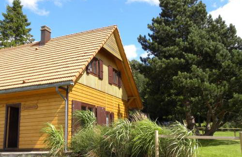 Chalet in La Hoube near Rocher du Dabo - Photo 13