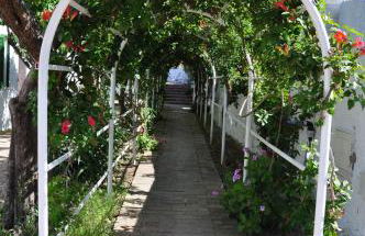 Hotel Residence Villa Teresa - Foto 14