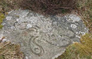 Spacious and bright 1 - bedroom rental unit - Photo 7