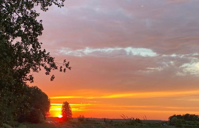 Holiday Home in Scherpenisse Near the Sea - Photo 40