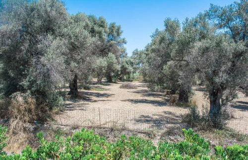 Adhilli i residence - Foto 52