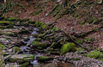 Spacious Villa Rental with a Pool for a Large Group near Catskill Mountains, New York - Photo 45