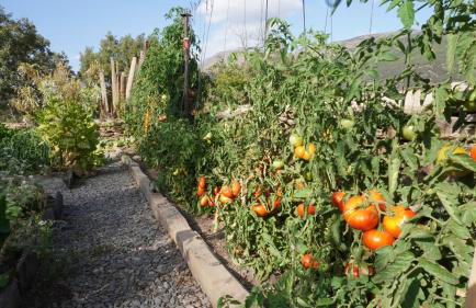 Cortijos Rey Fini - Foto 62