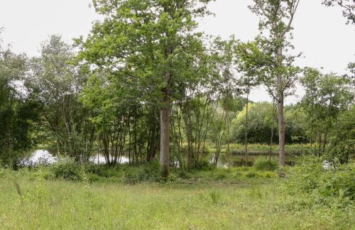 Lakeside Lodge - Foto 50