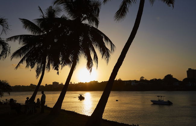 Tamarind Village Apartments - Foto 28