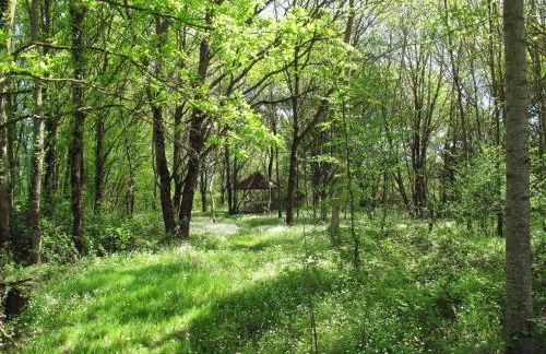 Holiday Home Alexandre by Interhome - Foto 111