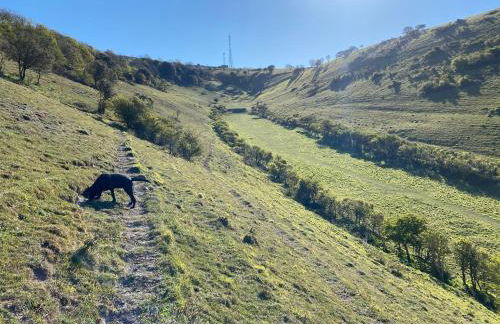 Clarendon View, Historic Apartment with Sea Views - Foto 29
