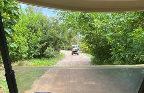 Family Tides on LGI - Golf Cart Included - Photo 65