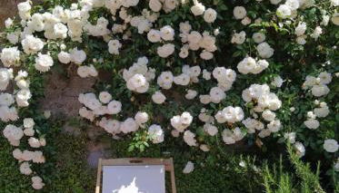 La Torretta del Lago - Foto 5, Garden view