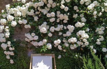 La Torretta del Lago - Foto 5