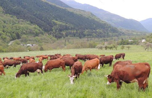 Gîte Les Grands Champs - Foto 71