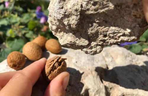 B&B Borgo Monacizzo - Foto 30