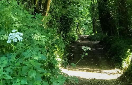 3 Bed in Helford oc-hcwedn - Foto 31