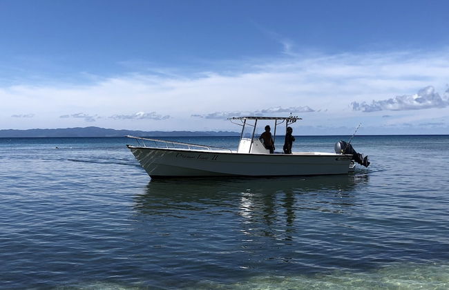 Taveuni Palms - Photo 43